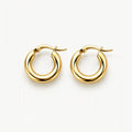 ARGOLLAS CLASICAS